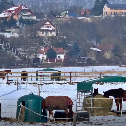 NOV Sila od firmy PAWLICA pro velké podniky i rodi