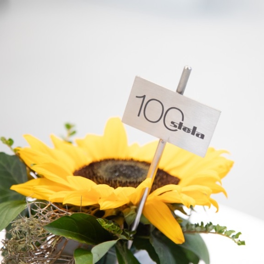 Oslava stých narozenin Stely v německém Massingu